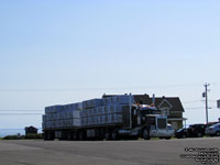 Unidentified Kenworth trucks